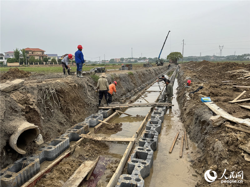 Pg电子游戏：浏阳推进高标准农田建设数字化管理打造“智慧田”(图2)