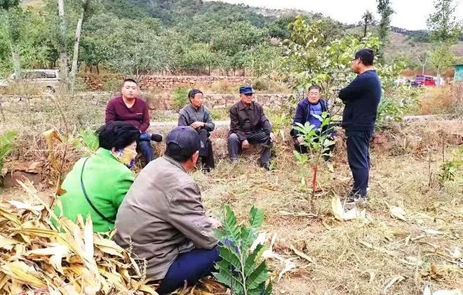 Pg电子游戏：【乡镇风采】新集镇在京秦高速工程征迁“一线”守初心担使命(图6)