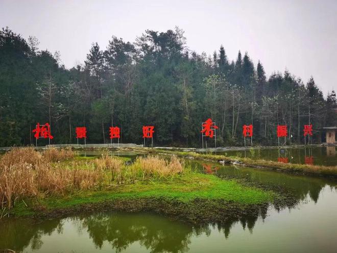 Pg电子游戏平台：数字素养与技能提升看四川乡村产业运营官陈兴友：探索村级资源市场化运营(图3)