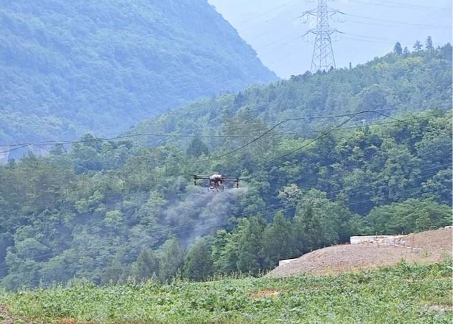 Pg电子平台：北川农业农村局：让田间地头插上“数字翅膀”(图1)