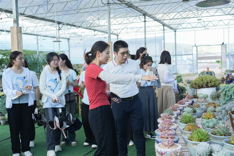 Pg电子平台：福建高校暑期社会实践：青春力量助力乡村振兴(图3)