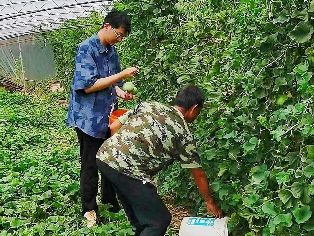 Pg电子游戏：破解年轻基层干部“水土不服”关键在“留”量突围(图1)